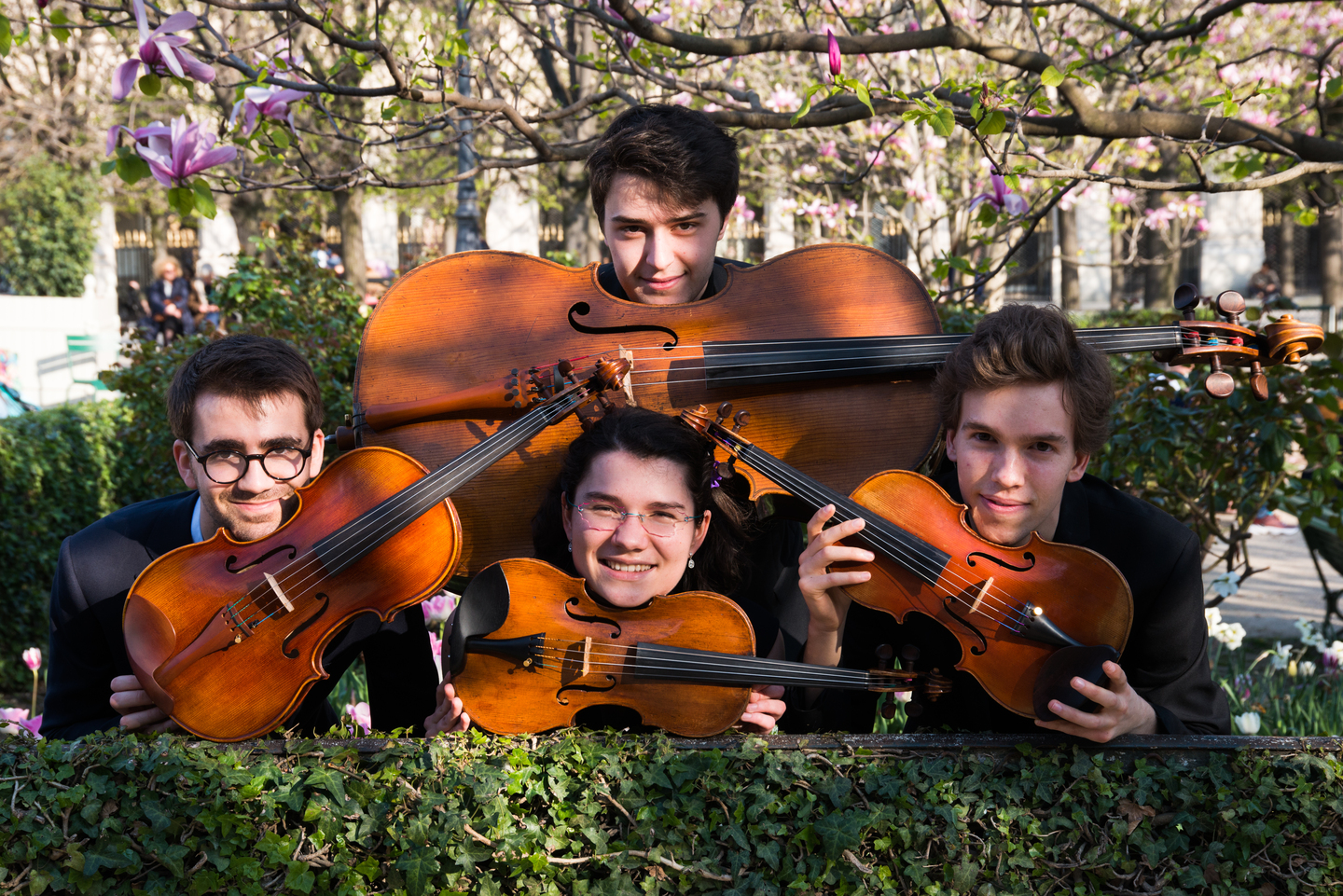 The quartet is mischievously spying on you, hidden behind their instruments and nestled against a bush
